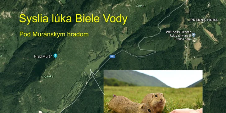 Pobyt v Národním parku Muránska planina: chata či apartmánové domky, snídaně i wellness