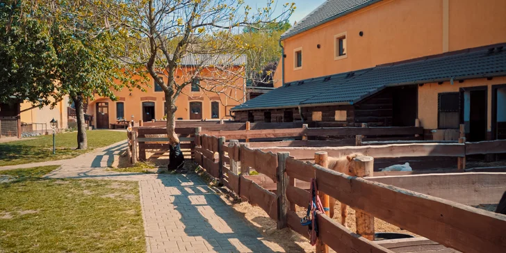 Pobyt na farmě s koňmi, prasátky i ovcemi kousek od Mosteckého jezera i vč. snídaní