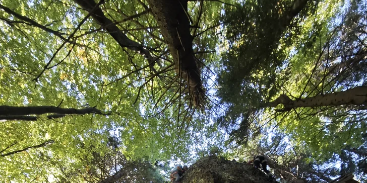 Skupinové ferratové kurzy s certifikovaným instruktorem na Slovensku pro děti i dospělé