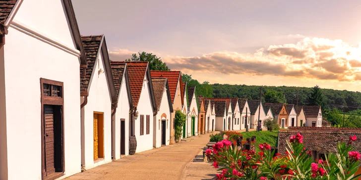 Vinařský pobyt ve vyhlášené oblasti Villány: strava, wellness a vstupy do lázní