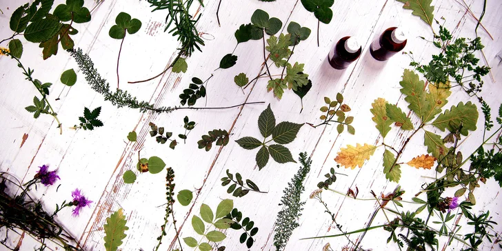 Objevte magii kyanotypie: 3hodinový workshop modrotisku pro 1 nebo 2 osoby