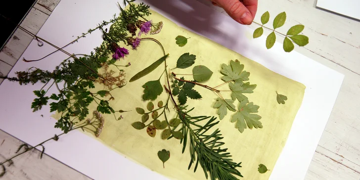 Objevte magii kyanotypie: 3hodinový workshop modrotisku pro 1 nebo 2 osoby