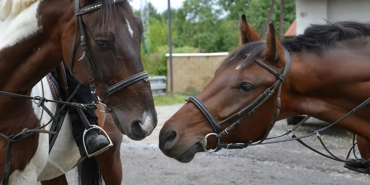 Hodinová jízda na koni pro začátečníky s instruktorem: pro 1 i 2 osoby