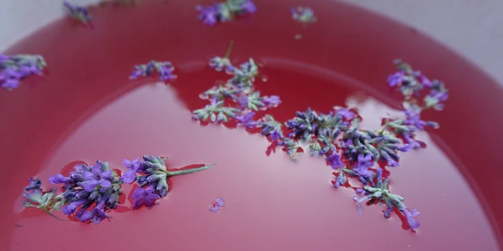 Bylinkové kurzy: sirupy, likéry a jídelníček jako zdroj vitality pro 1 nebo 2 osoby