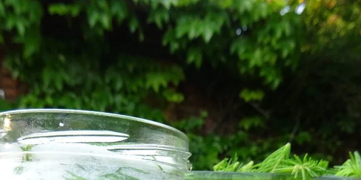 Bylinkové kurzy: sirupy, likéry a jídelníček jako zdroj vitality pro 1 nebo 2 osoby