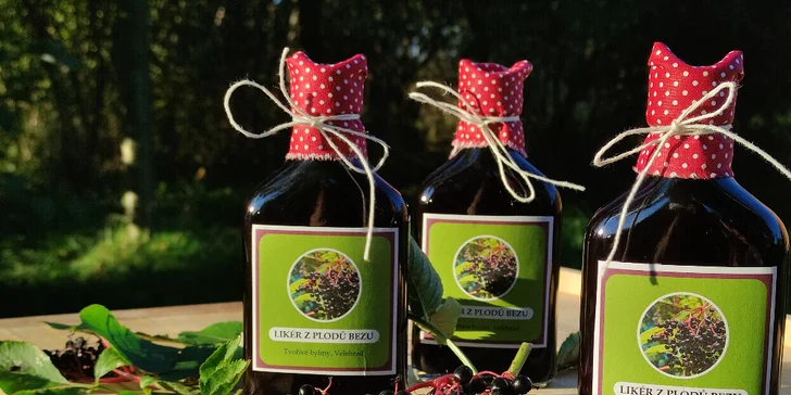 Bylinkové kurzy: sirupy, likéry a jídelníček jako zdroj vitality pro 1 nebo 2 osoby