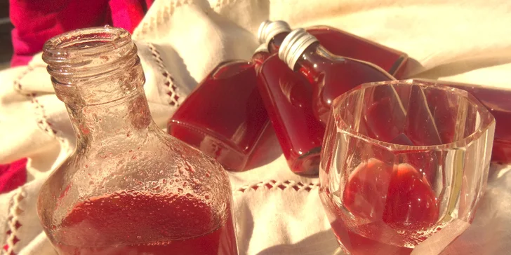 Bylinkové kurzy: sirupy, likéry a jídelníček jako zdroj vitality pro 1 nebo 2 osoby