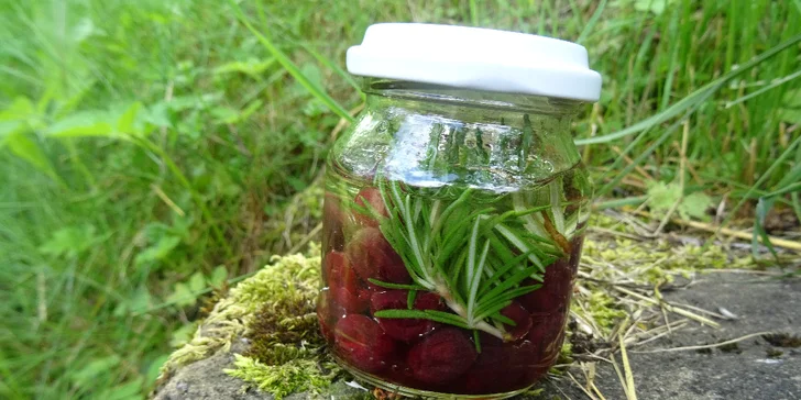 Bylinkové kurzy: sirupy, likéry a jídelníček jako zdroj vitality pro 1 nebo 2 osoby