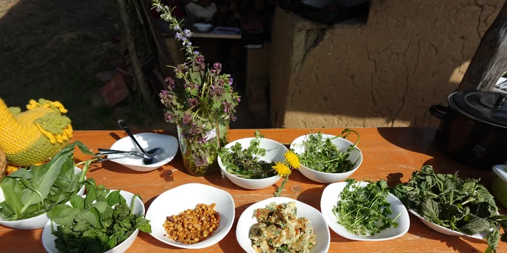 Bylinkové kurzy: sirupy, likéry a jídelníček jako zdroj vitality pro 1 nebo 2 osoby