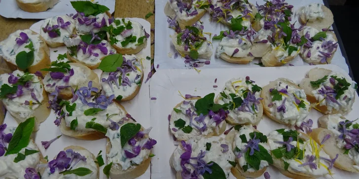 Bylinkové kurzy: sirupy, likéry a jídelníček jako zdroj vitality pro 1 nebo 2 osoby