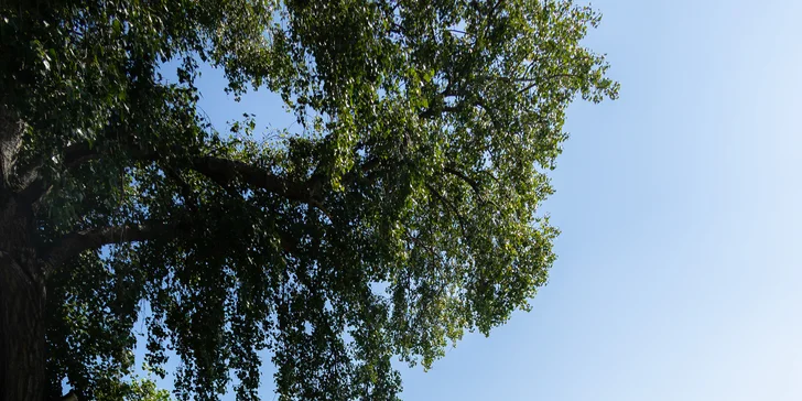 Dovolená jako z katalogu: Sluneční jezera a hotel s vlastní pláží, krytým bazénem, wellness i polopenzí