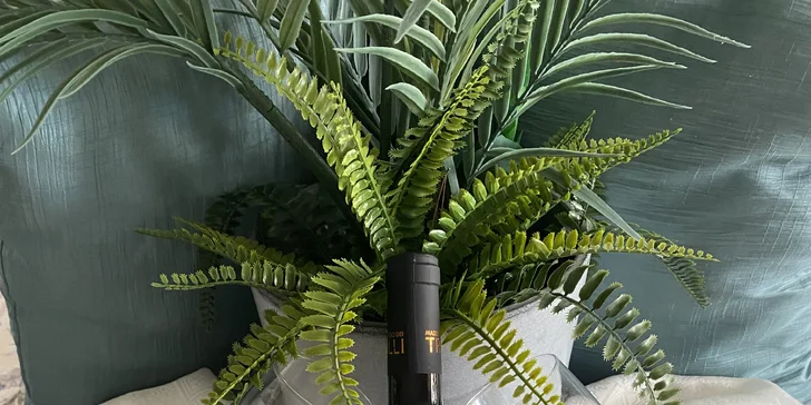 1 000 či 2 000 Kč na cokoliv v italské restauraci Ristorante Fresco Vento