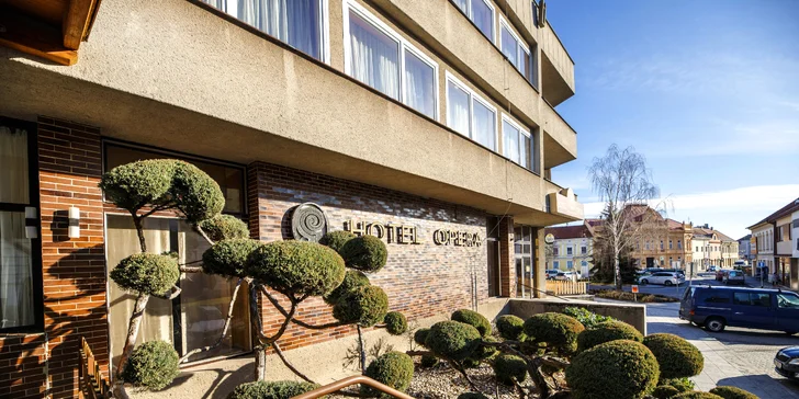 Hotel u barokního zámku na Vysočině: sněz, co můžeš i all inclusive, masáže v křesle, zábava i sleva na saunu