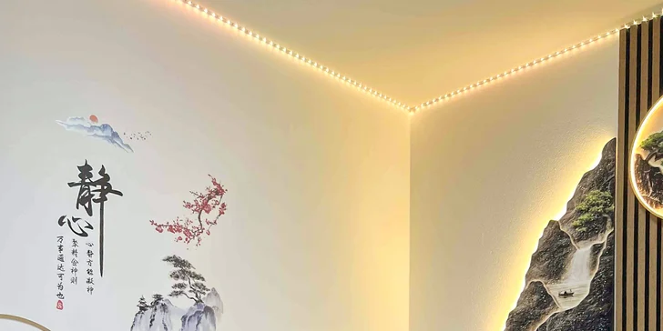 Omlazení a zpevnění pleti: Thermage či Hifu lifting obličeje, 30–⁠⁠⁠⁠⁠⁠60 minut