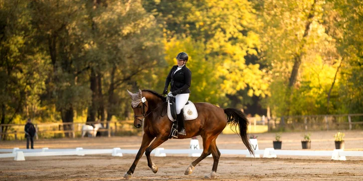 Dobrodružství v sedle: vyjížďka na koních či výcviková lekce pro 1 i 2 osoby