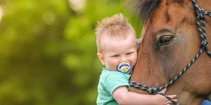 Farmářský kroužek pro děti od 3 do 12 let: jednorázový nebo měsíční vstup