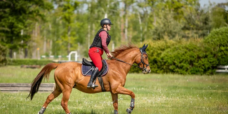Dobrodružství v sedle: vyjížďka na koních či výcviková lekce pro 1 i 2 osoby