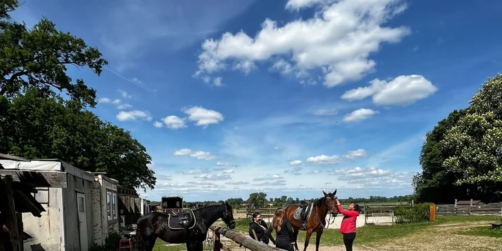 Farmářský kroužek pro děti od 3 do 12 let: jednorázový nebo měsíční vstup