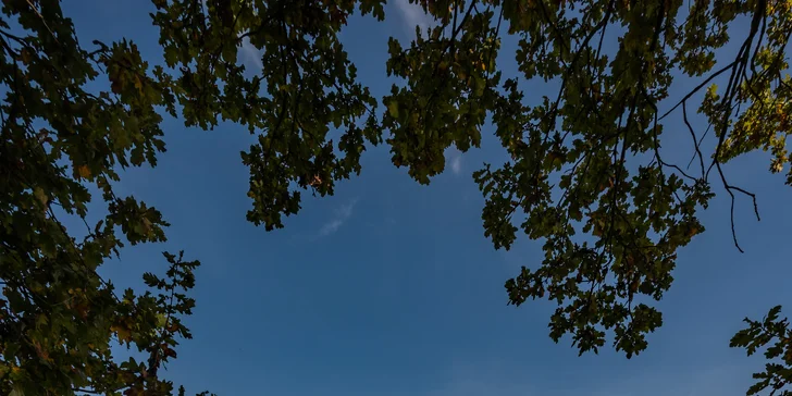 Příjemný pobyt na zámečku nedaleko Valtic a Lednice se snídaní a privátním wellness