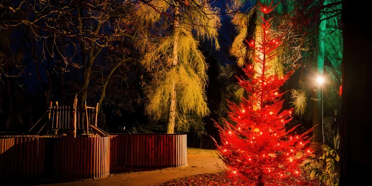 Vstupenky do osvětleného parku: Labyrinty světla, ráj srdce na Zámku Loučeň