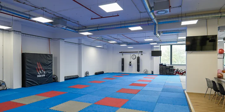 Za vytrvalostí a silou: tabata pro maminky s dětmi, 1 nebo 2 vstupy