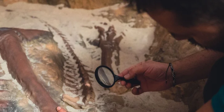 Úniková hra Operační sál, Útěk z ponorky nebo Paleontolog až pro 5 hráčů