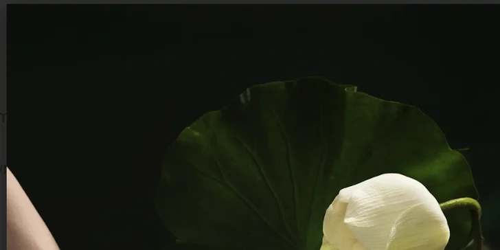 Ochutnejte netradiční dobroty: vouchery na 300–1500 Kč na rostlinné jídlo do asijské restaurace