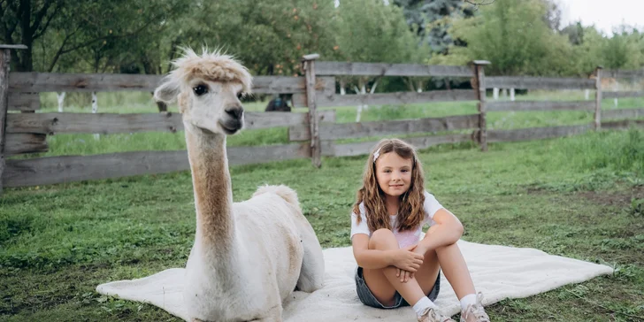 Zážitek s lamami pro 5 osob: možná procházka, krmení a mazlení