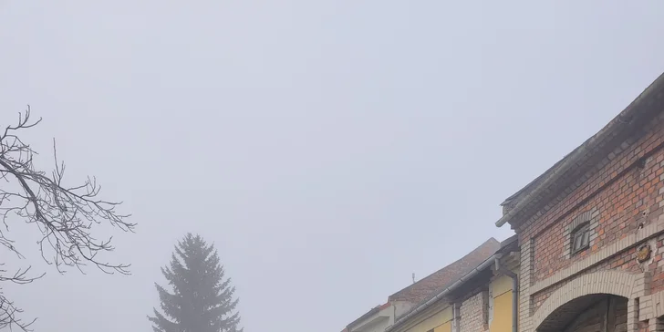 Zážitek s lamami pro 5 osob: možná procházka, krmení a mazlení