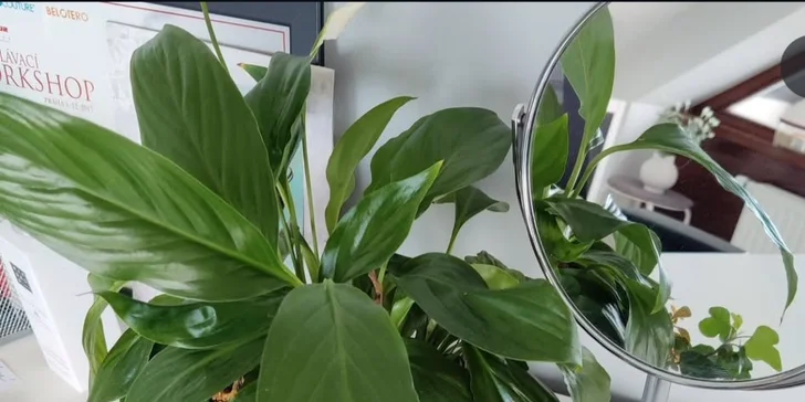 Rozmazlete svou pleť: hydratační či regenerační omlazující ošetření i mezoterapie s exosomy