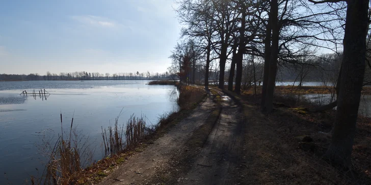 Pohoda i výlety: pobyt v malém rodinném penzionu, 4 km od Třeboně