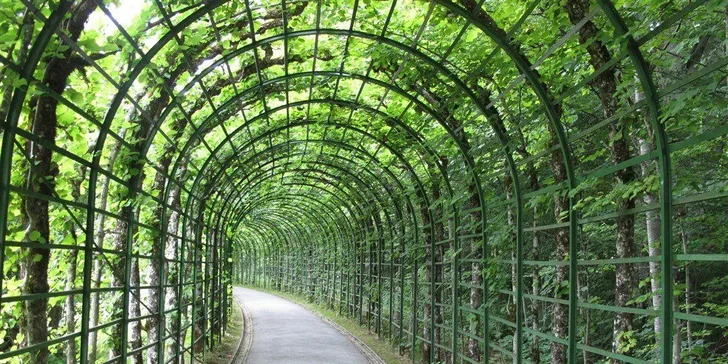 Nejkrásnější zámky Bavorska: 3denní zájezd vč. ubytování se snídaní a dopravy