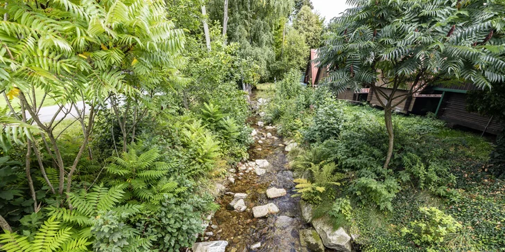 Penzion v Jeseníkách: lokalita na úpatí Rychlebských hor, snídaně, možnost sauny i večeří