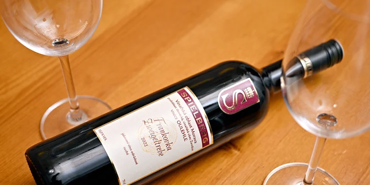 Pětichodové degustační menu u náplavky: kulajda, tatarský biftek, ragú i candát a tiramisu