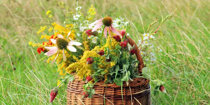 Bylinky v domácí lékárně aneb léčíme silou přírody: celodenní seminář v Davli pro 1 nebo 2 osoby