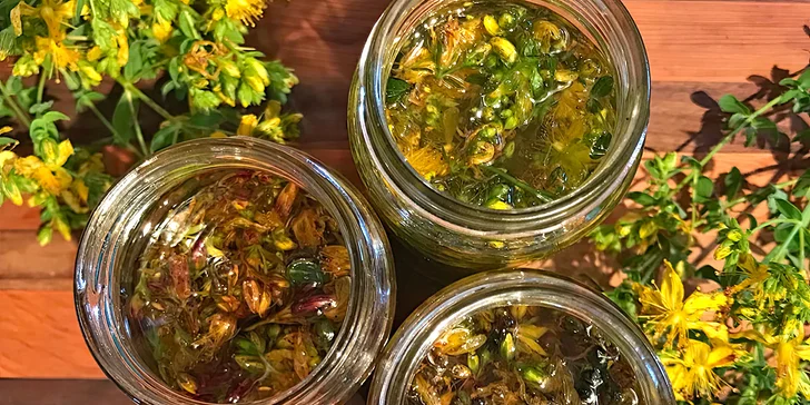 Bylinky v domácí lékárně aneb léčíme silou přírody: celodenní seminář v Davli pro 1 nebo 2 osoby