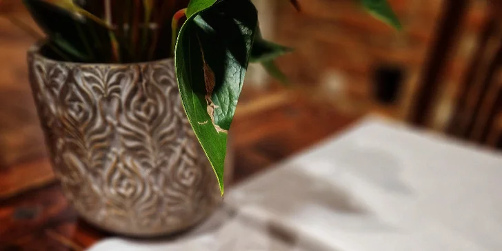 6chodové zvěřinové menu v Rožnovských pivních lázních pro 2 osoby