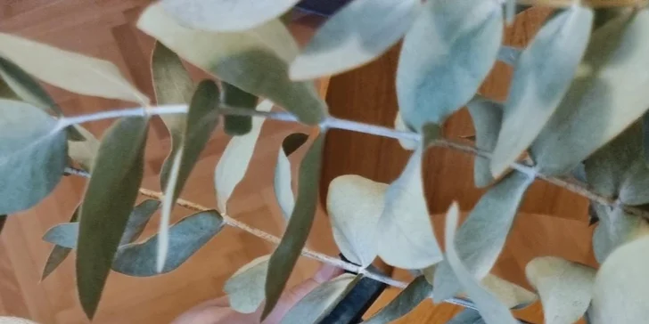 Odpočinkové kurzy tkaní: úplné základy, tvorba podtácku i tapiserie