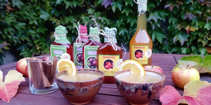 Bylinkové kurzy: sirupy, likéry a jídelníček jako zdroj vitality pro 1 nebo 2 osoby