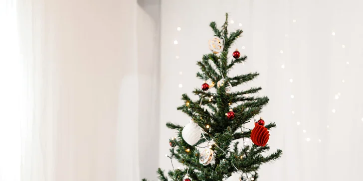 Vánoční focení pro páry i rodiny s dětmi: 30 minut v ateliéru