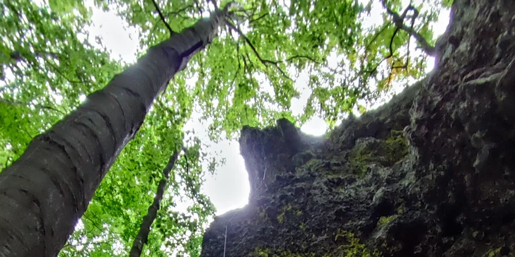 Skupinové ferratové kurzy s certifikovaným instruktorem na Slovensku pro pokročilé