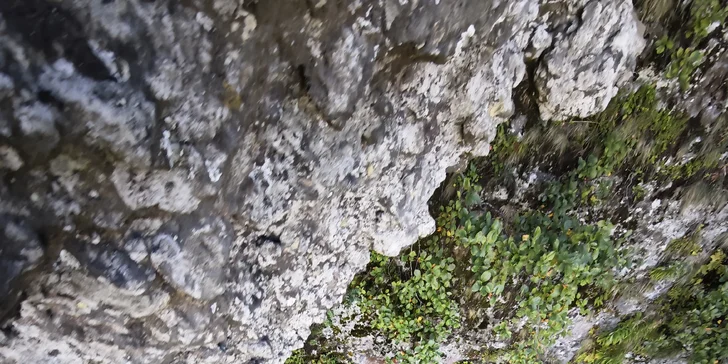 Skupinové ferratové kurzy s certifikovaným instruktorem na Slovensku pro pokročilé