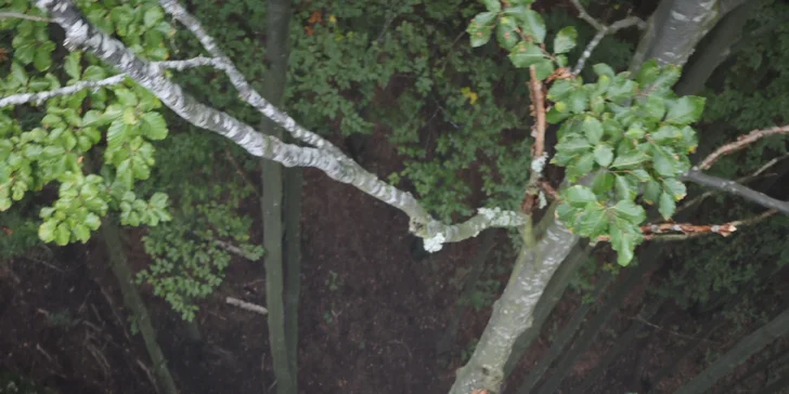 Skupinové ferratové kurzy s certifikovaným instruktorem na Slovensku pro pokročilé