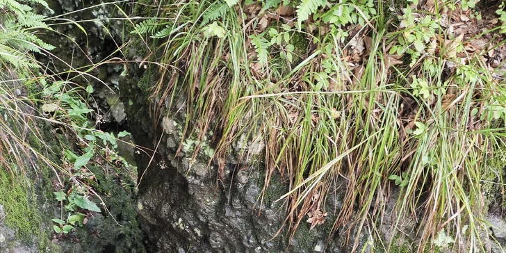 Skupinové ferratové kurzy s certifikovaným instruktorem na Slovensku pro pokročilé