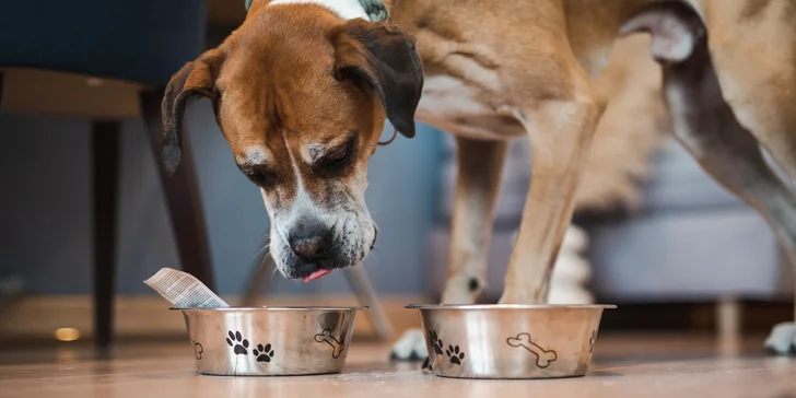 Historické centrum Gdaňsku: ubytování v moderním hotelu i památky