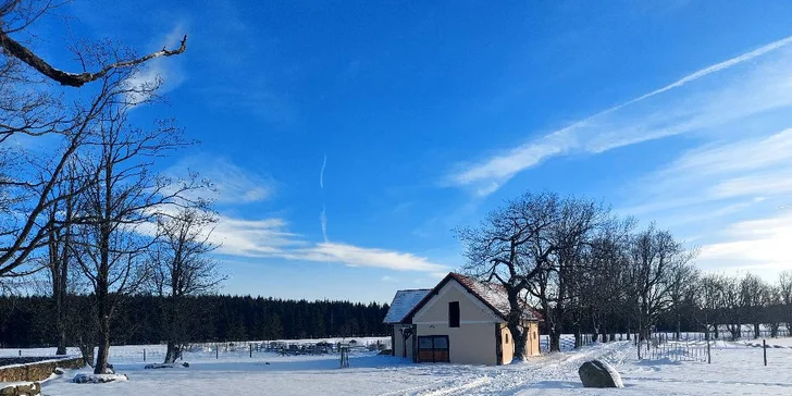 Bizoní ranč v srdci České Kanady: pobyt se skvělým jídlem, ekologický chov bizonů