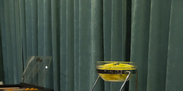 Pobyt se snídaní v Michalovcích, tematické pokoje pro milovníky hokeje a historie