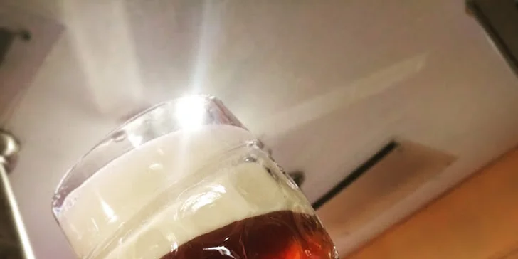 3chodové svatomartinské menu i pivní speciál Harmonie 13° pro 2 osoby