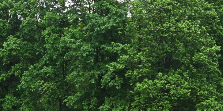 Staňte se na den farmářem: prohlídka farmy, krmení zvířat i dojení krav, 5 hodin