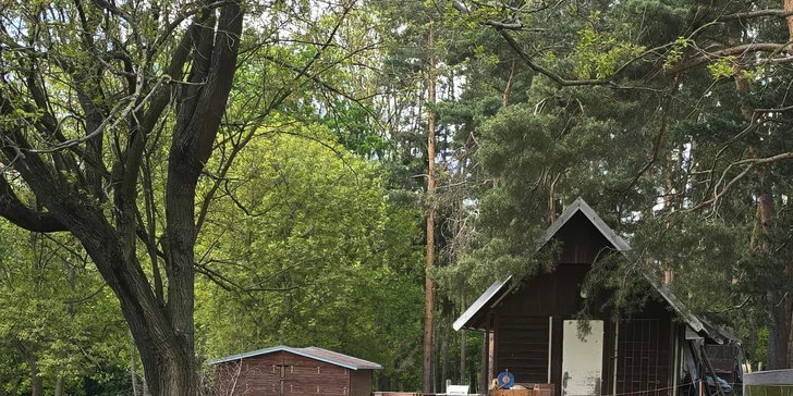 Staňte se na den farmářem: prohlídka farmy, krmení zvířat i dojení krav, 5 hodin
